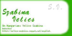 szabina velics business card